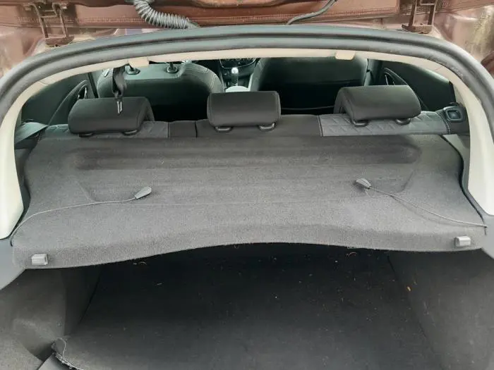 Plage arrière Renault Clio